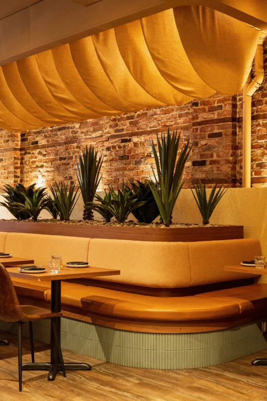 Les banquettes et le bar